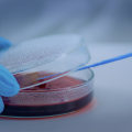 La regola di sicurezza più importante nella scienza